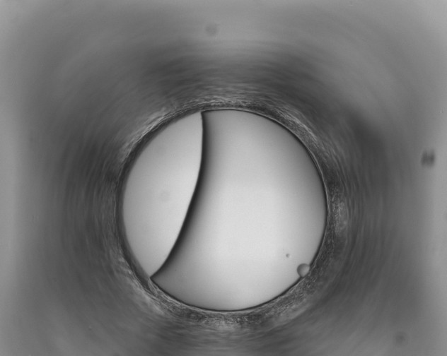 X0000090890729200707271038