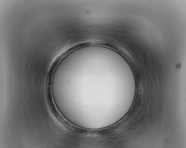 X0000090890730200707271038