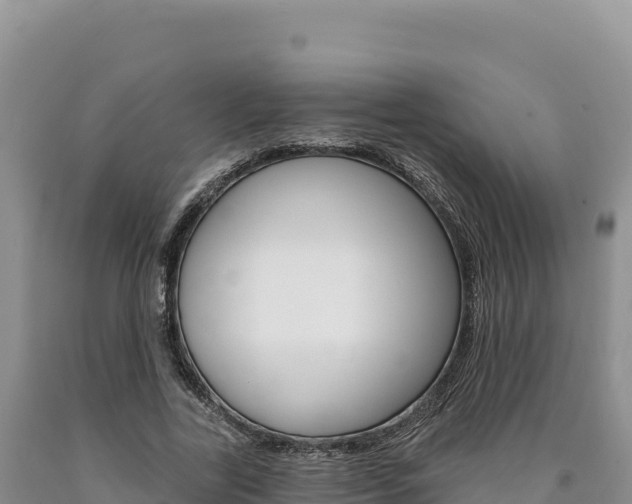 X0000090890731200707271038