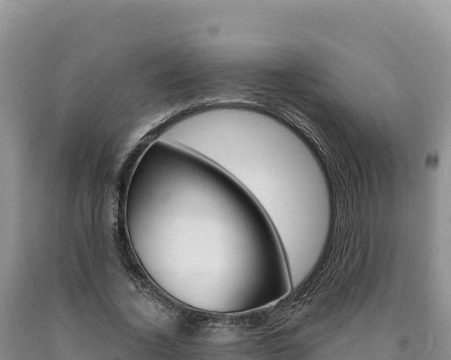 X0000090890732200707271038