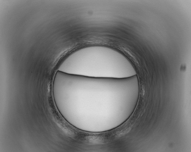 X0000090890733200707271038