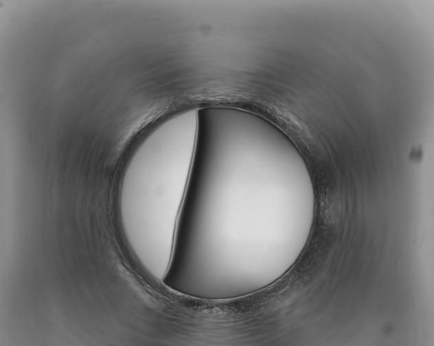X0000090890735200707271038