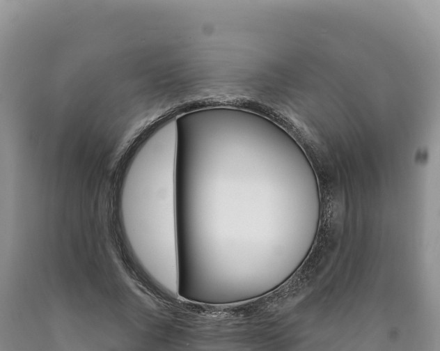X0000090890736200707271038