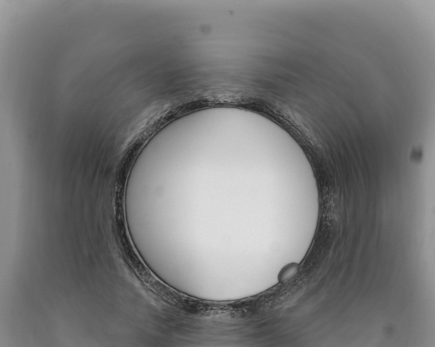 X0000090890738200707271038