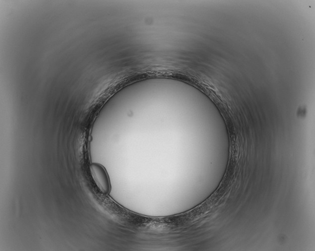 X0000090890742200707271038