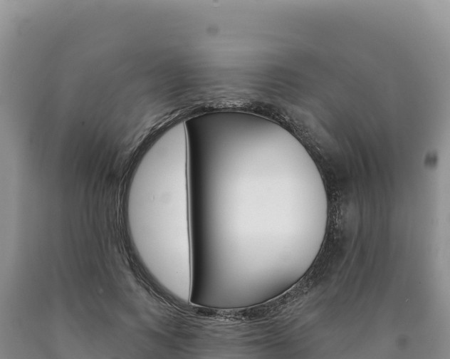 X0000090890743200707271038