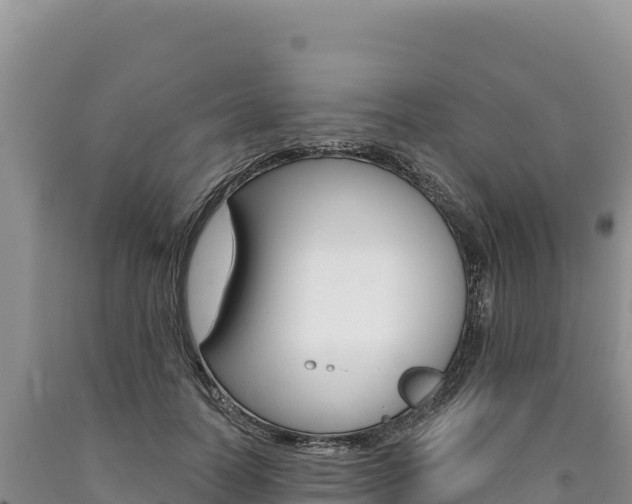 X0000090890746200707271038