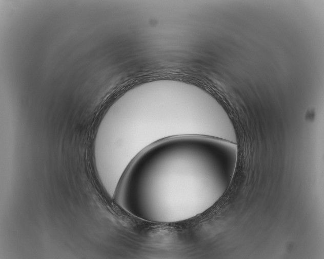 X0000090890750200707271038