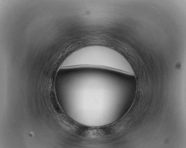 X0000090890752200707271038