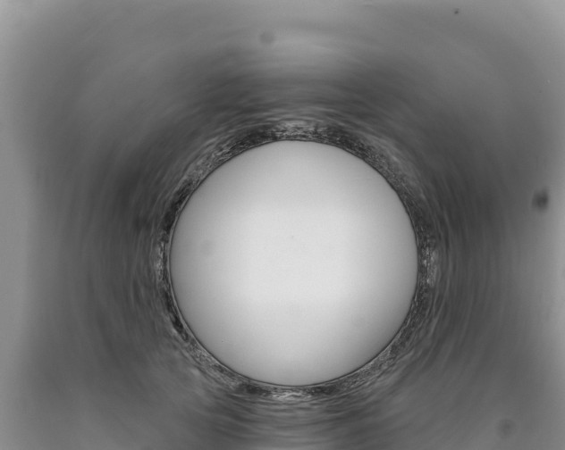 X0000090890753200707271038