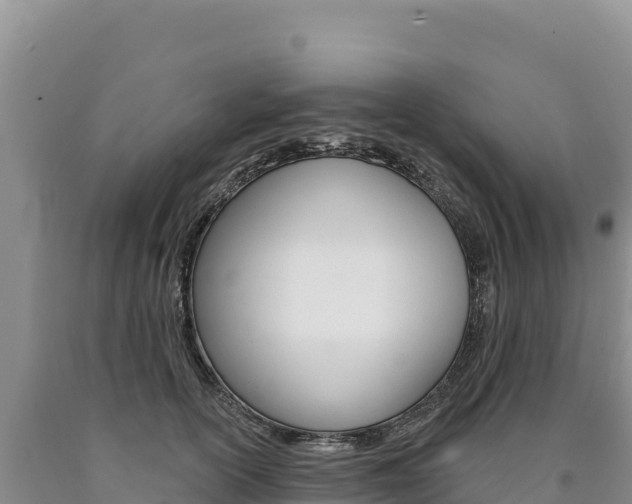 X0000090890754200707271038