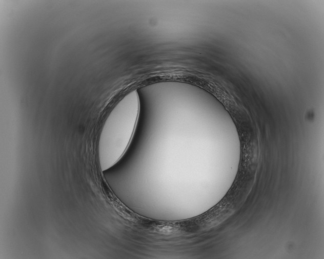 X0000090890755200707271038