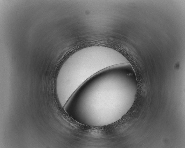 X0000090890756200707271038