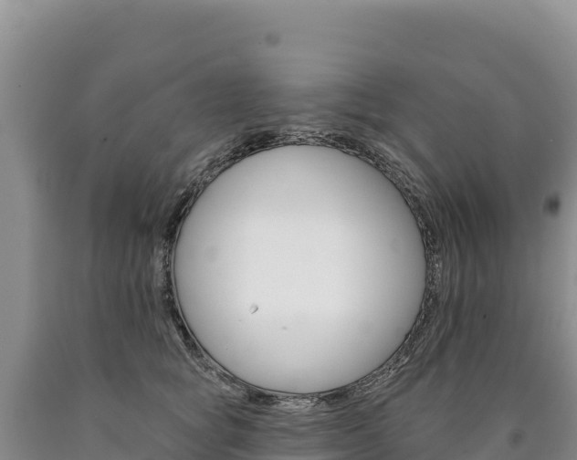 X0000090890757200707271038