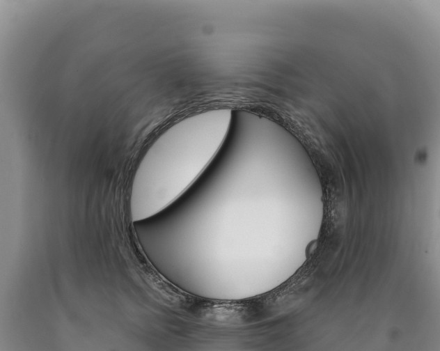 X0000090890758200707271038