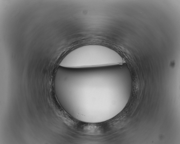 X0000090890759200707271038