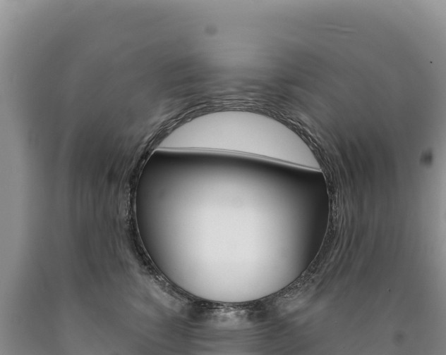 X0000090890760200707271038