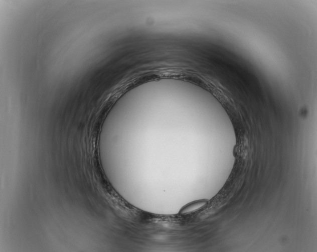 X0000090890763200707271038