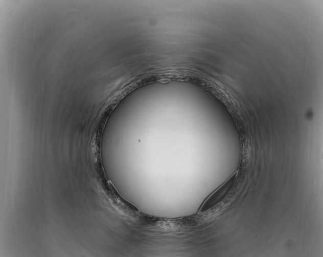 X0000090890764200707271038