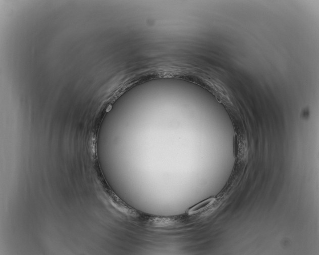 X0000090890766200707271038