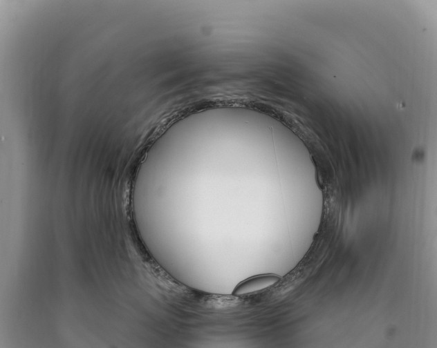 X0000090890767200707271038