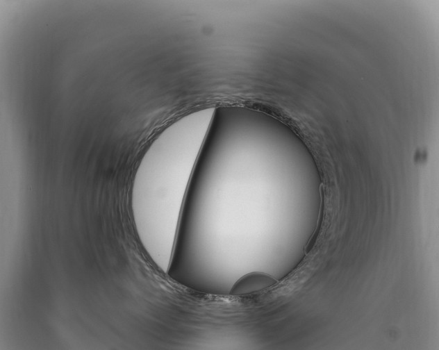 X0000090890768200707271038