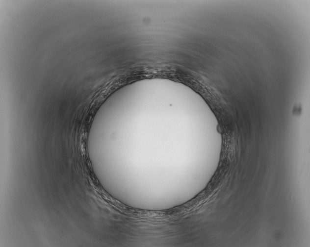 X0000090890770200707271038