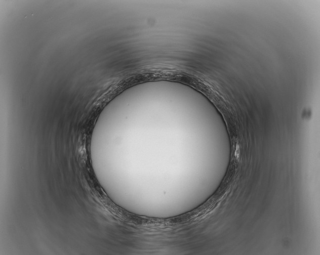 X0000090890771200707271038