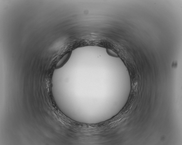 X0000090890772200707271038