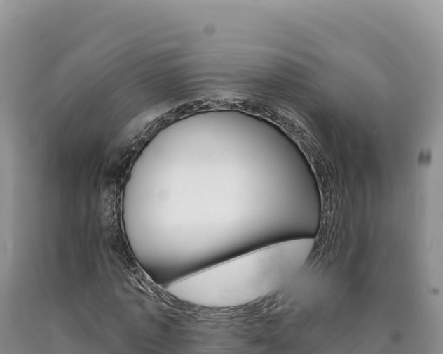 X0000090890773200707271038