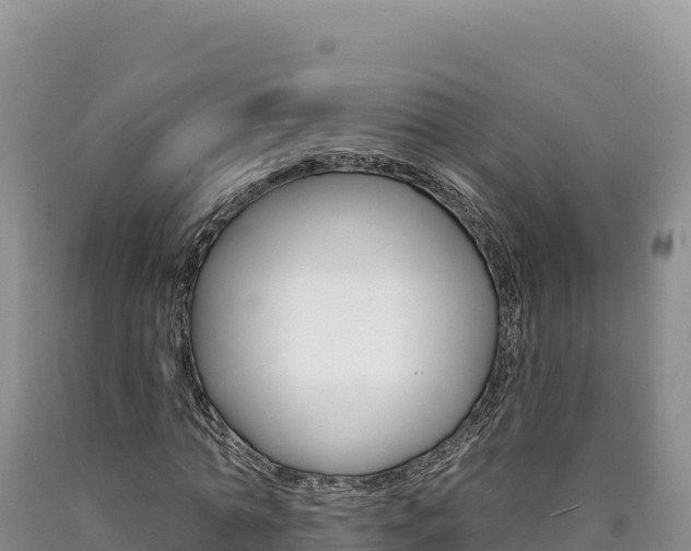 X0000090890774200707271038
