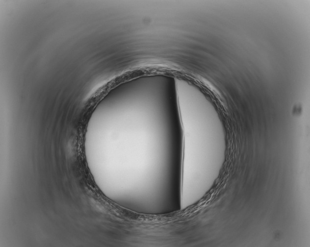X0000090890775200707271038