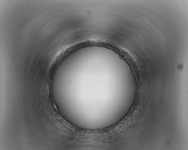 X0000090890776200707271038