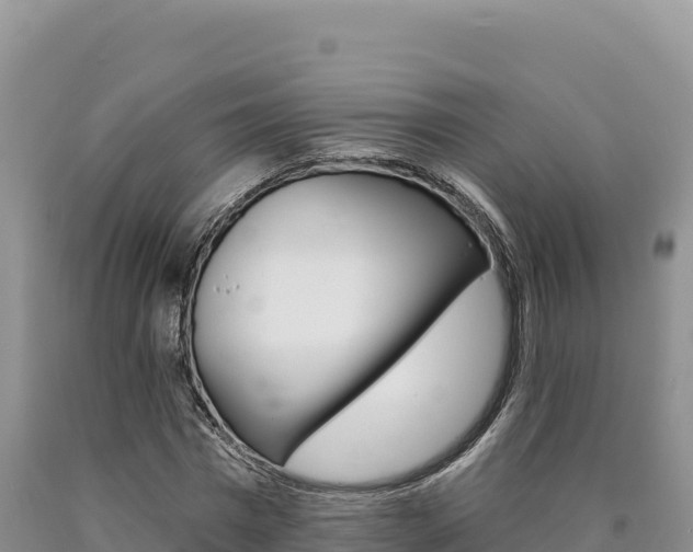 X0000090890777200707271038