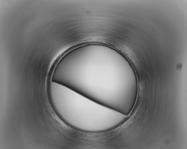 X0000090890780200707271037