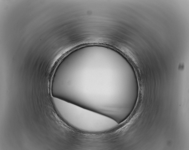 X0000090890781200707271037