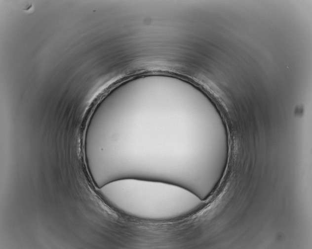 X0000090890782200707271037