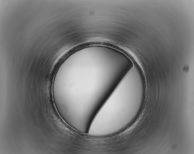 X0000090890783200707271037