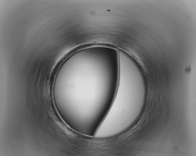 X0000090890784200707271037