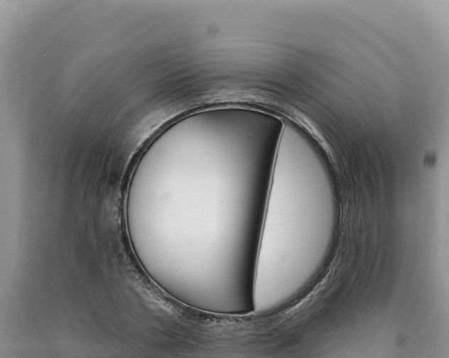 X0000090890786200707271037