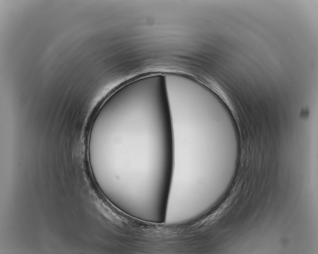 X0000090890787200707271037