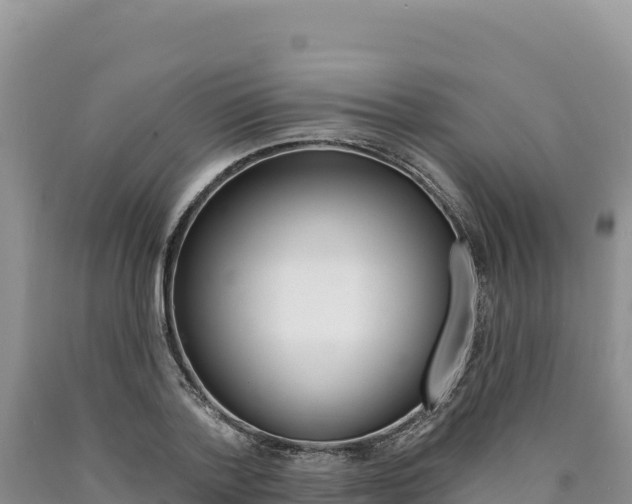 X0000090890788200707271037