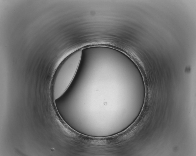 X0000090890789200707271037