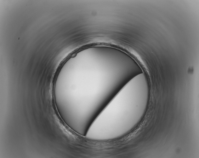 X0000090890791200707271037