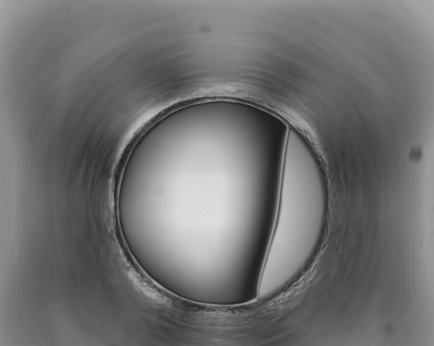 X0000090890792200707271037