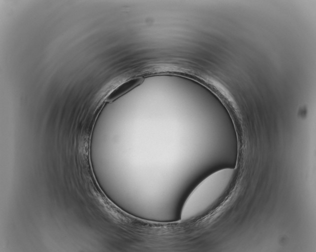X0000090890793200707271037