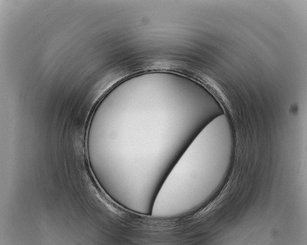 X0000090890794200707271037