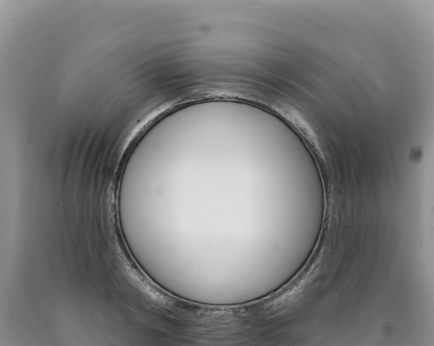 X0000090890798200707271037