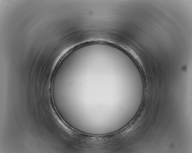 X0000090890799200707271037