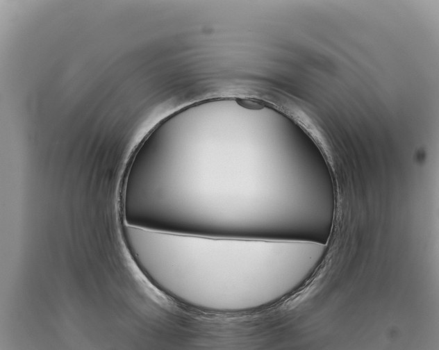 X0000090890803200707271037